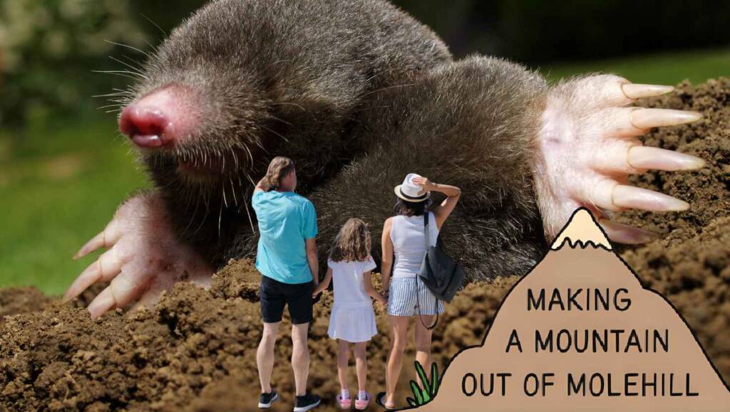 Dysfunctional Family Quotes 1024x579 jpg