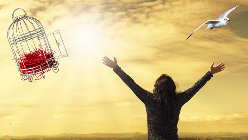 Trauma Therapist in Guelph 1024x579 png